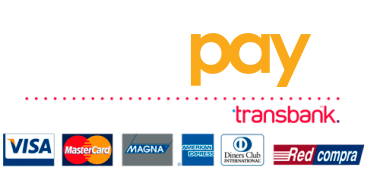 webpay logo 1 Grupo Industrial Cl